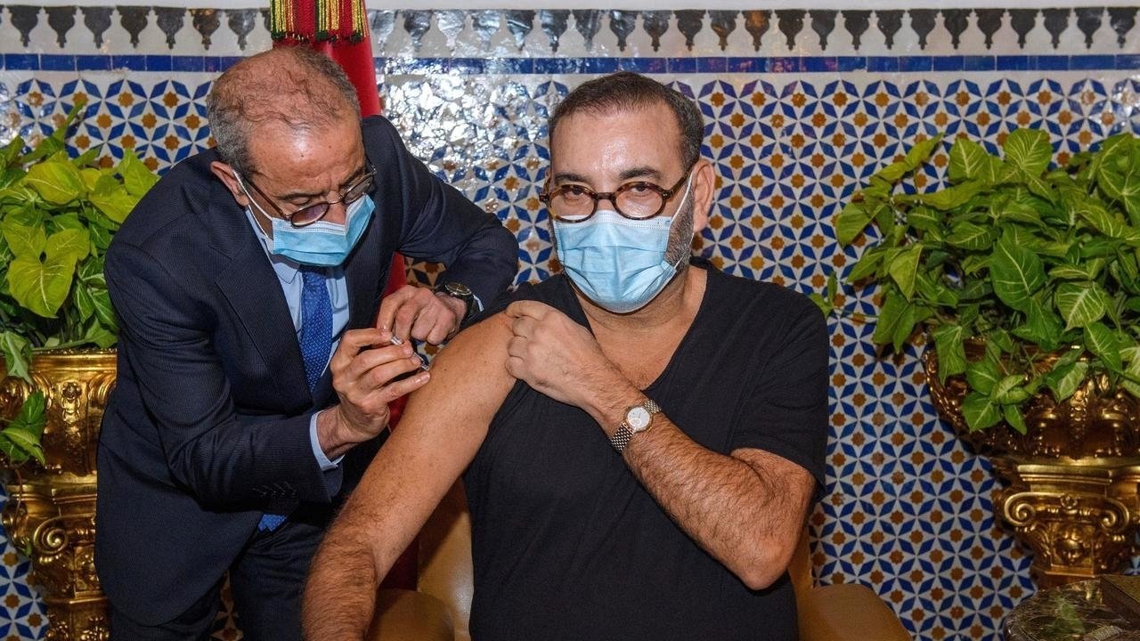 ”ويست فرانس”..فرنسا ينبغي عليها الإستلهام من المغرب في تنظيم عملية التلقيح