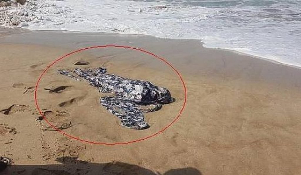 العثور على جثة متحللة يستنفر سلطات الحسيمة