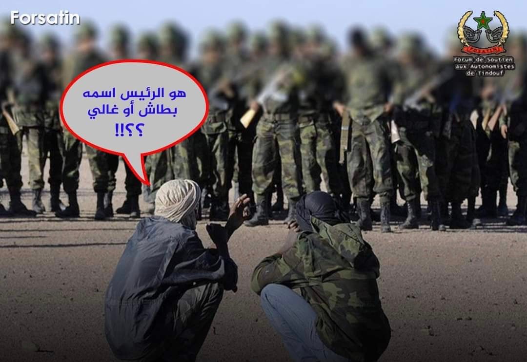 يرونها عصابة وترونها دولة  يرونه ”بطوش” وترونه ”غالي”