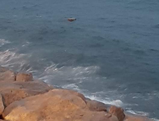 شاطئ طنجة يلفظ ثلاث رزم من ”الحشيش”