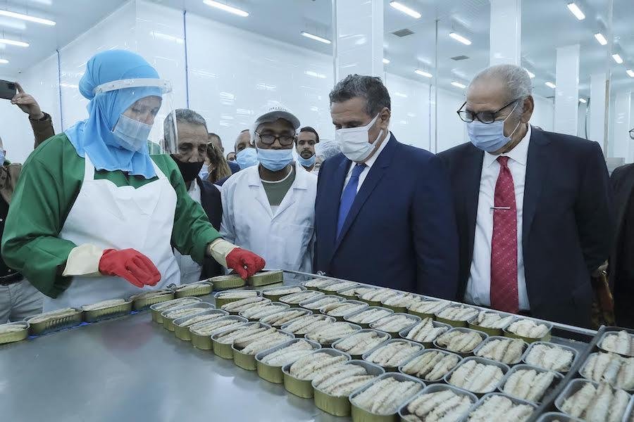 أخنوش يعطي الانطلاقة لأربع وحدات صناعية بمدينة الداخلة