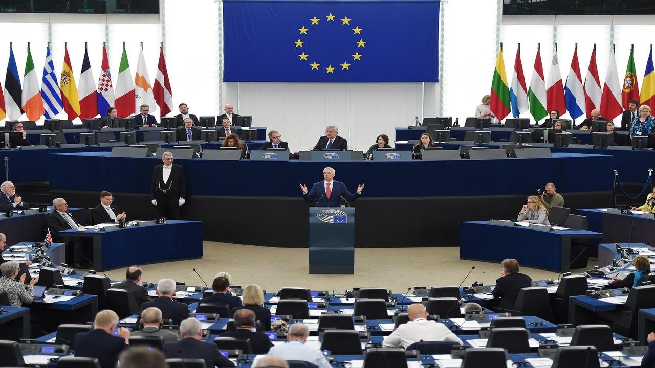 قرار البرلمان الأوروبي، ”خطأ” و”افتقاد للحكمة والنضج” (برلماني أوروبي)