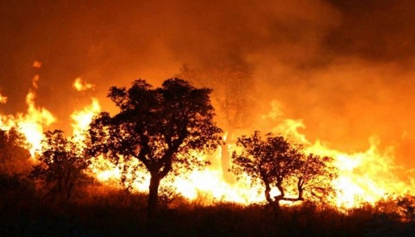 وزير الداخلية الجزائري: 50 حريقا في نفس التوقيت من المستحيلات السبع