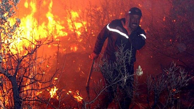 الجزائر…مصرع 25 جنديا أنقذوا 100 مواطن من الموت في حرائق الغابات