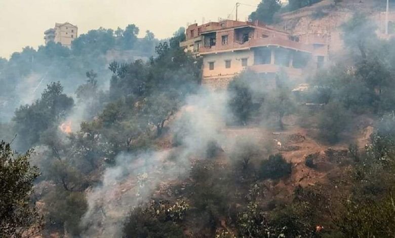 حكومة القبائل تطالب بفتح تحقيق دولي في حرائق الغابات في الجزائر