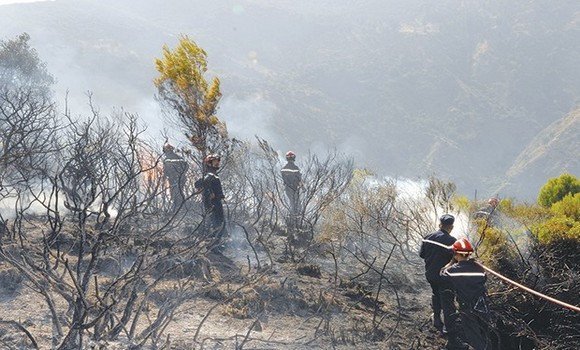 السلطات تسيطر على 95 بالمائة من حرائق شفشاون