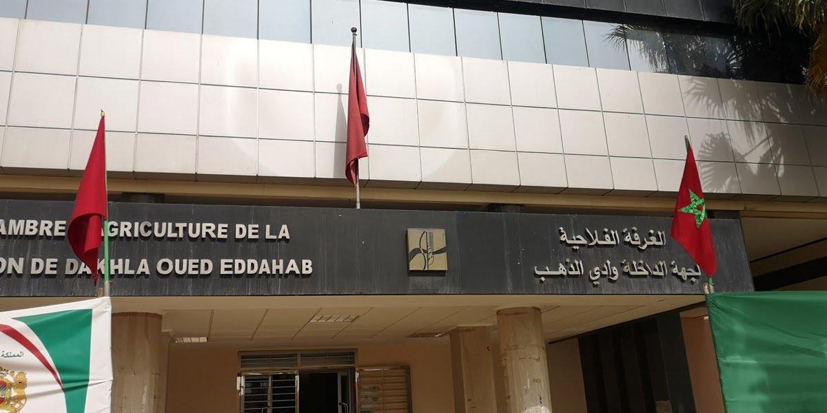 “الأحرار” يقود الغرفة الفلاحية بجهة الداخلة وادي الذهب