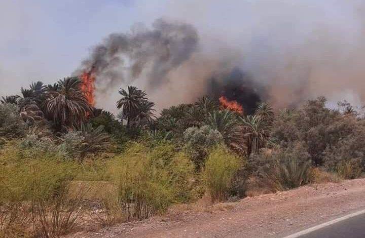 سلطات الرشيدية تستخدم طائرة كنادير لإخماد حريق بهذه الواحة