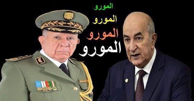 الانتخابات ..حُب الوطن وروح المواطنة في ابناء الاقاليم الصحراوية تصيب تبون والبوليساريو بالسعار