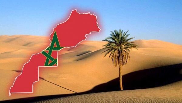 إعلامي بيروفي يدعو إلى اعتماد مبادرة الحكم الذاتي المغربية بالصحراء