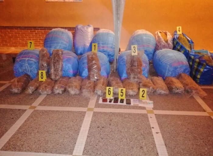 تفكيك شبكة اجرامية تنشط في ترويج المخدرات