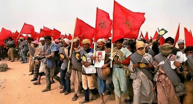 بلجيكا.. الجالية المغربية تحتفي بالذكرى الـ 46 للمسيرة الخضراء