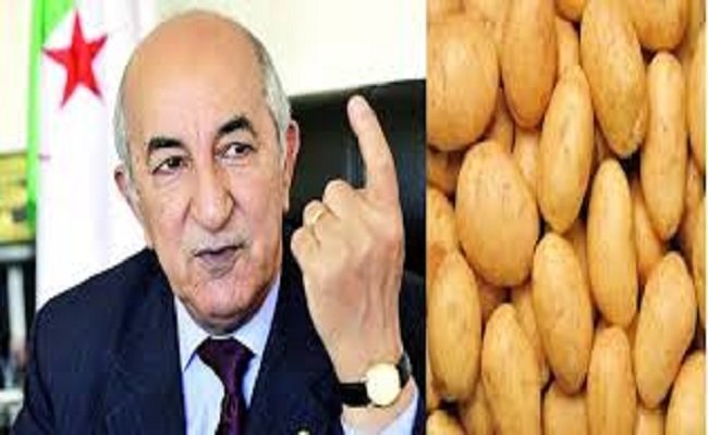البطاطا تؤرق نظام العسكر ..وتبون يتعهد بعقوبات للمضربين تصل 30 سنة سجناً