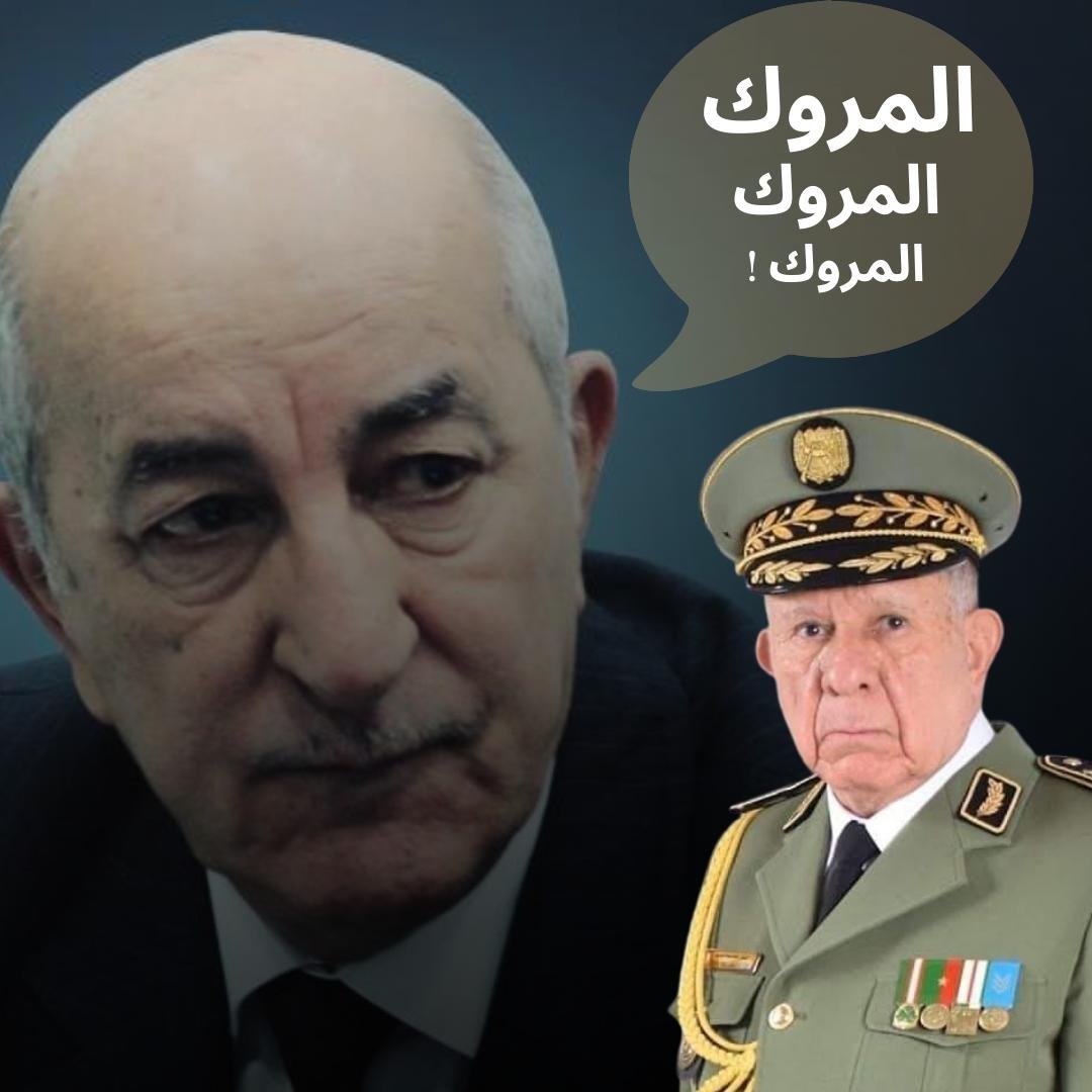المغرب لن يقع ضحية استفزازات النظام الجزائري الحاقد