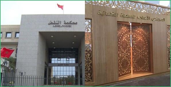 محكمة النقض والمجلس الأعلى للسلطة القضائية يشاركان بتنزانيا في الحوار القضائي الخامس للاتحاد الإفريقي
