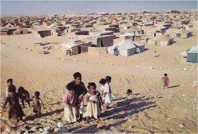 الاعلام الجزائري..عصابة جنرالات الجزائر يطعمون أطفال مخيمات تندوف حليب مسرطن من الصين