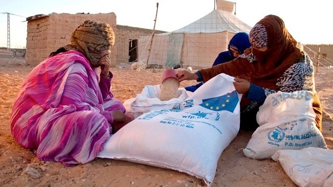 ناشط صحراوي يدق ناقوس الخطر إزاء الأوضاع المأسوية في مخيمات تندوف