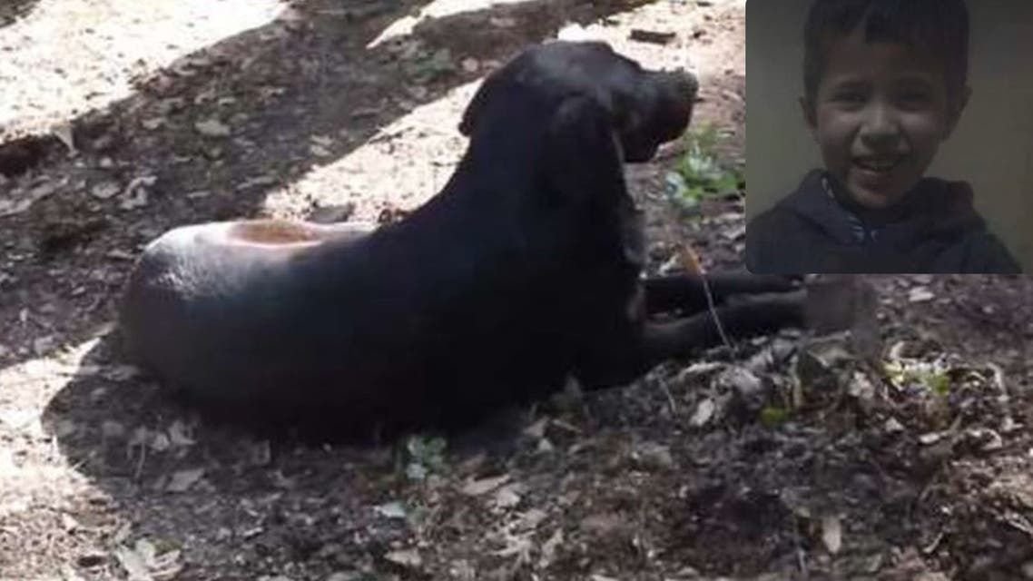 قصة وفاء مؤلمة..كلب الطفل ريان يرفض الابتعاد عن قبره