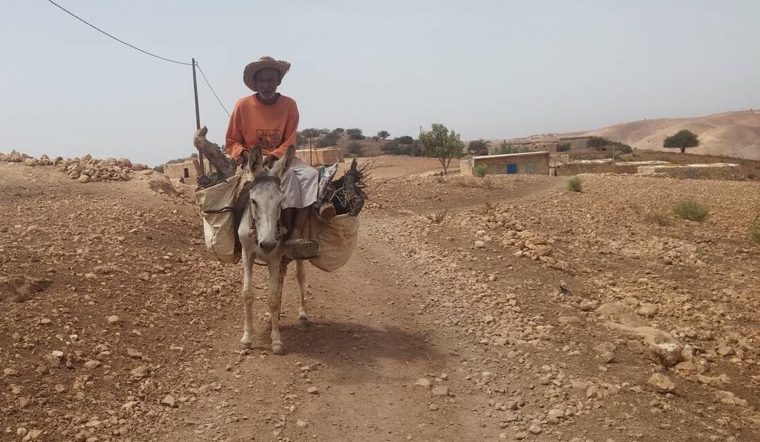 سنوات من الجفاف.. الفلاحة المغربية في مواجهة شح السماء