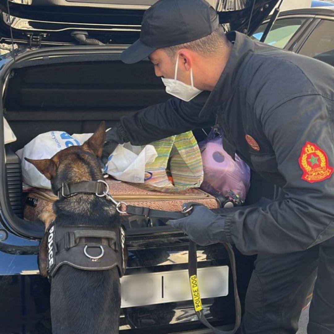 الإطاحة بعصابة تُتاجر في الكوكايين بالمحمدية