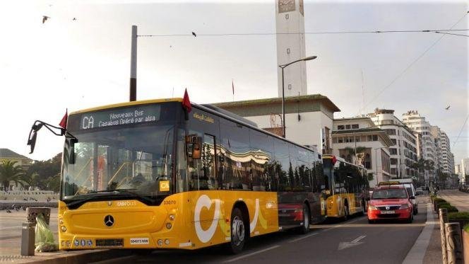 إطلاق 7 خطوط جديدة للنقل الحضري بالدار البيضاء