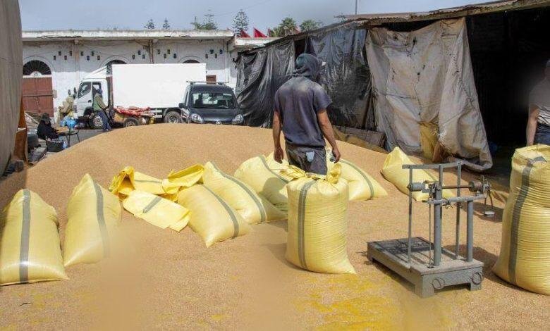 وزير الفلاحة: المغرب استورد 18 مليون قنطار من القمح اللين