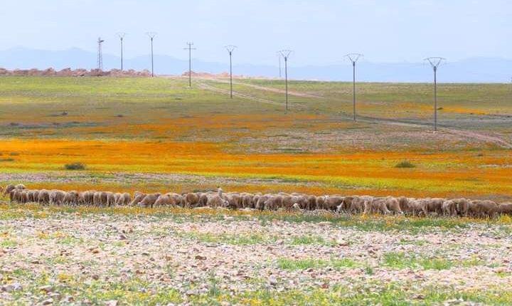 توقيع اتفاقيات لدعم مشاريع تتعلق بدعم المبادرات المقاولاتية الفلاحية