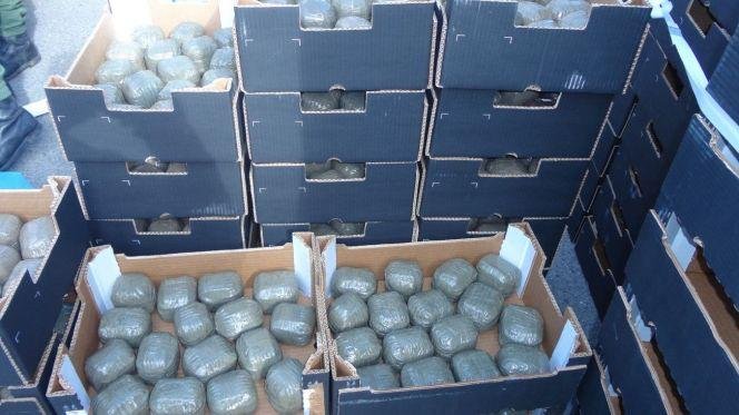 أمن طنجة يُحبط محاولة لتهريب أطنان من الحشيش