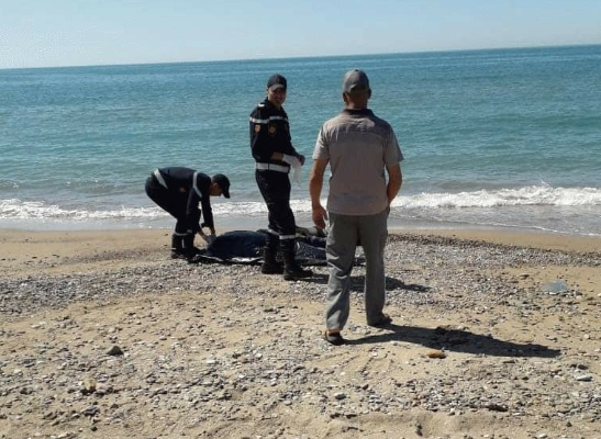 العثور على جثة مذبوحة بشاطئ مولاي عبد الله بالجديدة