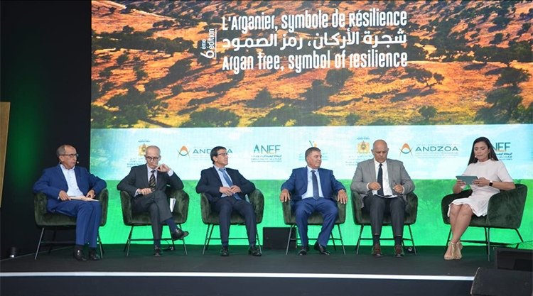 أكادير.. انعقاد المؤتمر الدولي السادس للأركان