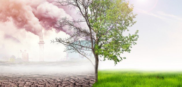 الأمم المتحدة تحذر من ظاهرة التلوث الضوئي المهددة للحياة البرية
