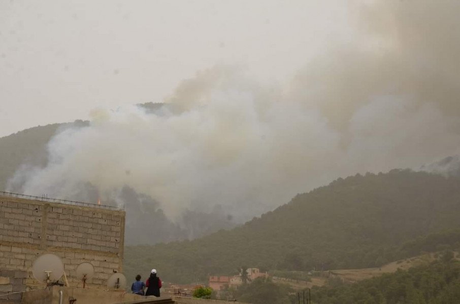 النيران تلتهم 60 هكتارا من غابات أمزميز