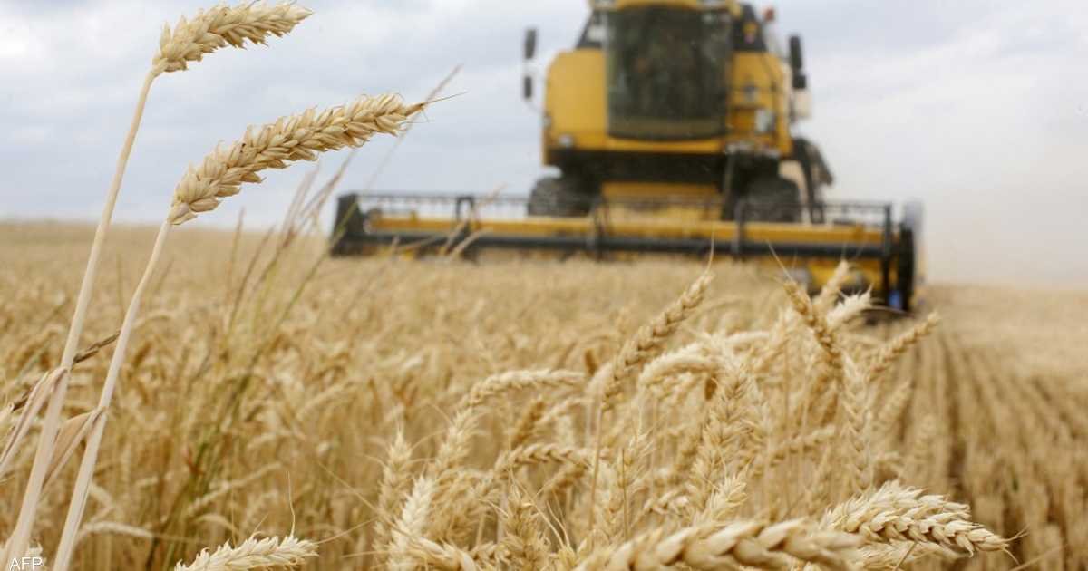 أوكرانيا تتهم روسيا بـ”سرقة قحمها” وشحنه لدولة عربية