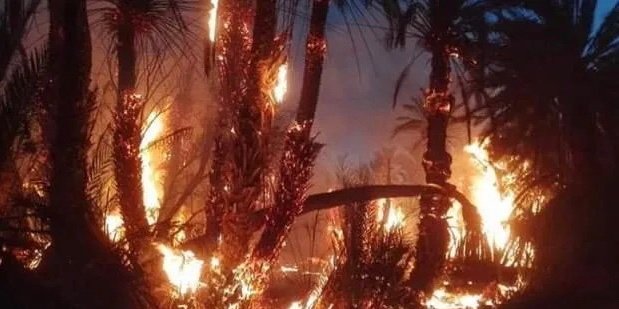 حريق مهول يندلع بواحة أسرير ضواحي كلميم