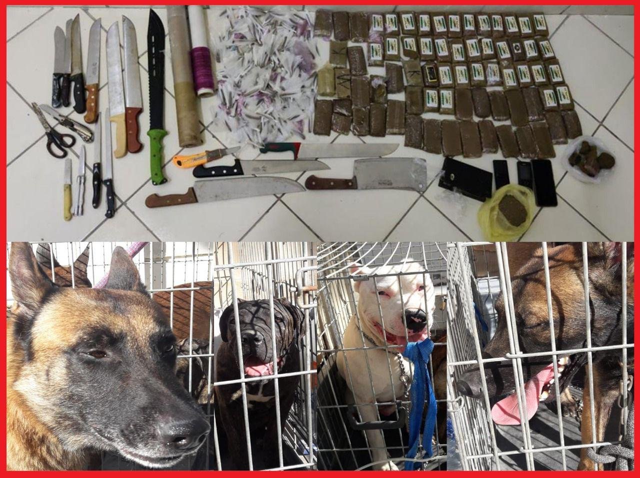 طنجة…تفكيك شبكة إجرامية تنشط في الاتجار غير المشروع للمخدرات