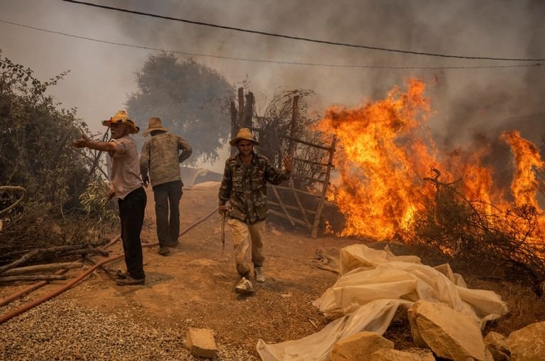 هذه مستجدات حرائق الغابات في تطوان ووزان
