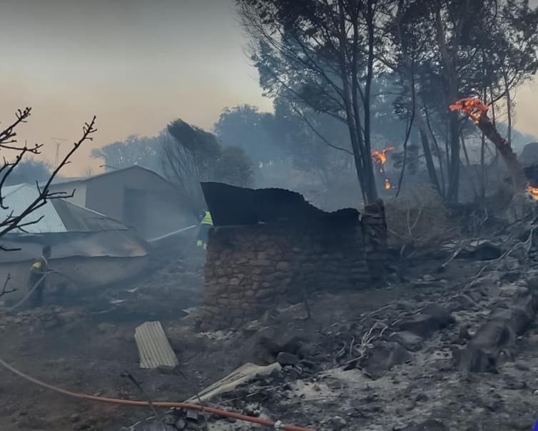 الحرائق تعود بقوة لغابات القصر الكبير