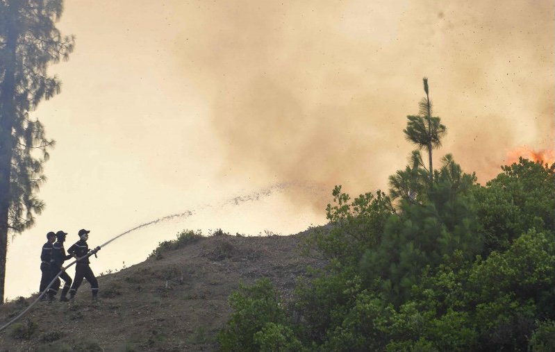 تحويط الحريق الغابوي ببني ليت بإقليم تطوان
