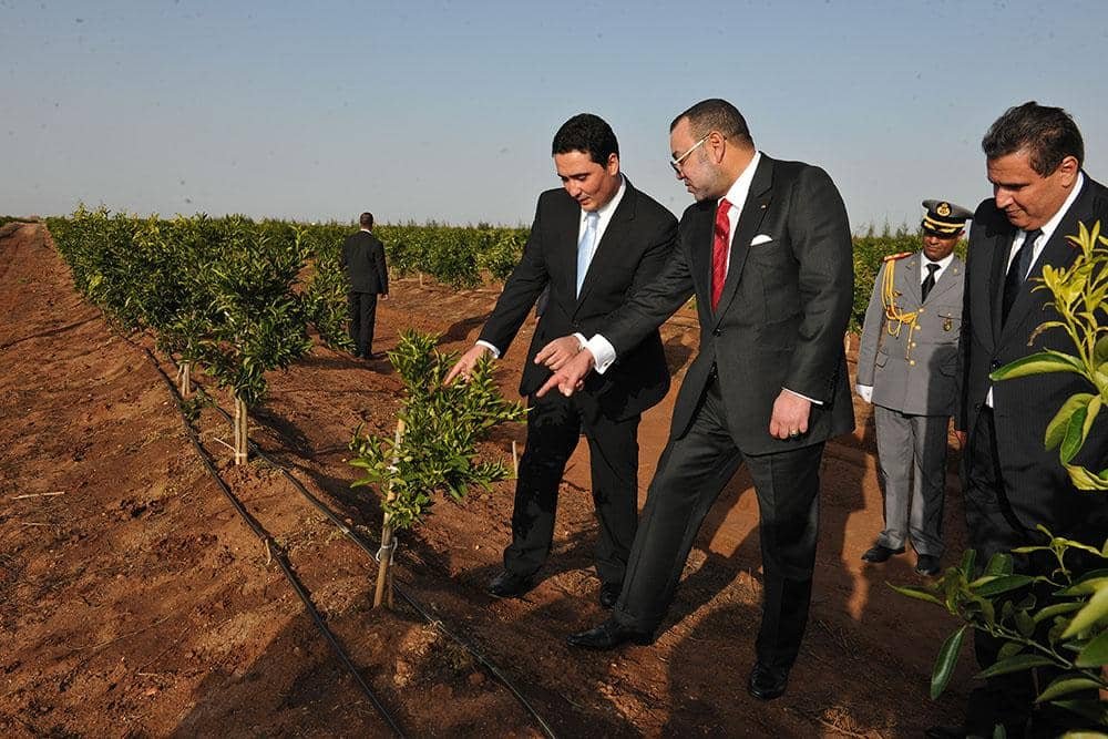 إرادة ملكية لجعل الفلاحة الوطنية رافعة للتنمية