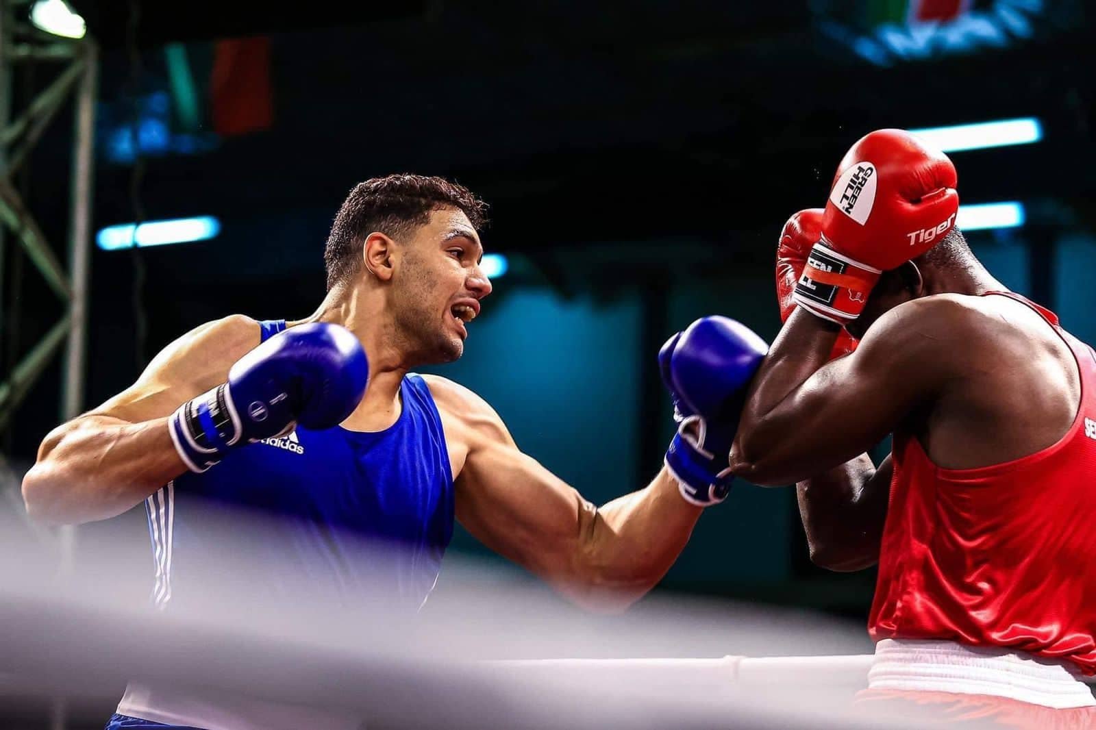 المنتخب المغربي يحرز ”تسع” ميداليات في بطولة إفريقيا للملاكمة