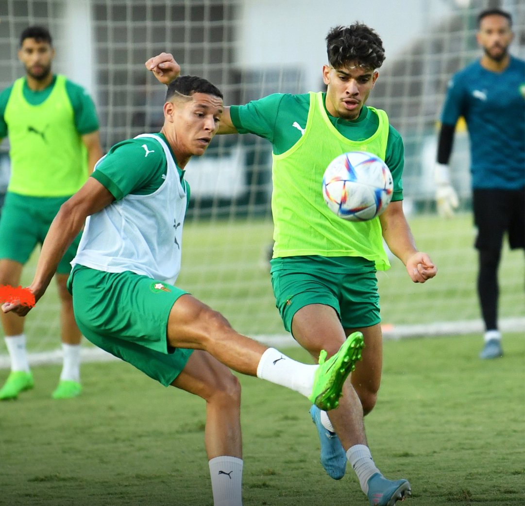 حصة تدريبية للأسود استعدادا للباراغواي