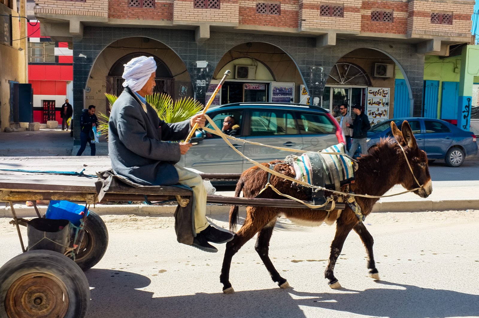 سلطات البيضاء تتجه نحو منع العربات المجرورة في الشارع العام