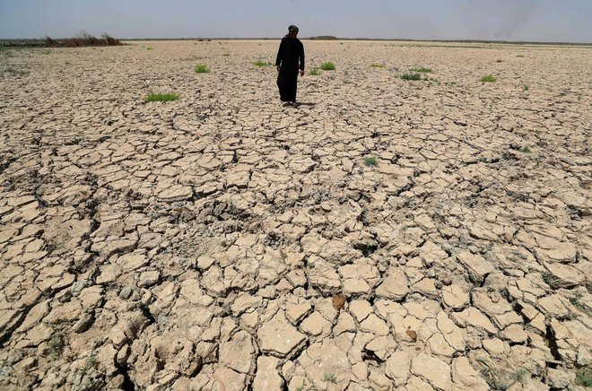 بسبب الحر… مناطق ستصبح غير صالحة للحياة بسبب موجات الحر
