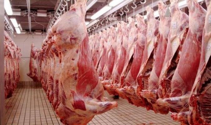لحوم روسية قريبا على موائد المغاربة… التفاصيل