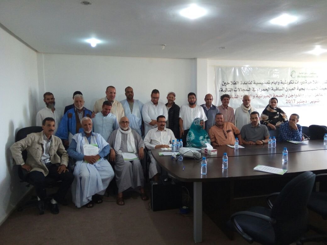 حضور قوي للمكتب الوطني للاستشارة الفلاحية في تأطير و مواكبة مشاريع مخطط المغرب الأخضر بجهة العيون الساقية الحمراء