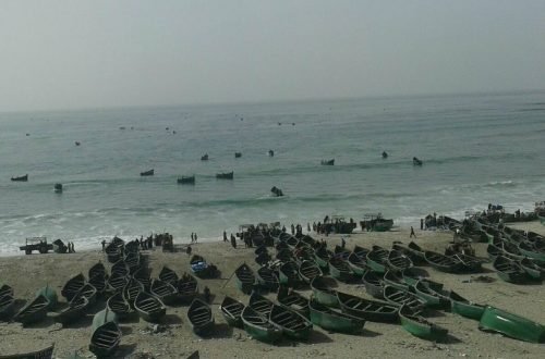 تجـار السمك يشتكون لأخنوش ضد لوبيـات الصيــد