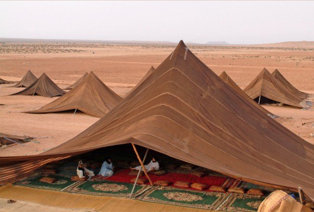 "التبراع" إبداع شعري تنْظمه المرأة المغربية الحسانية وفق شروط فنية ومعرفية
