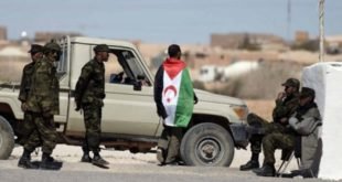تراجع عائدات البترول تدفع  الجزائر إلى التراجع عن تمويل صفقة تسليح جديدة لميليشيات البوليساريو …. المزيد