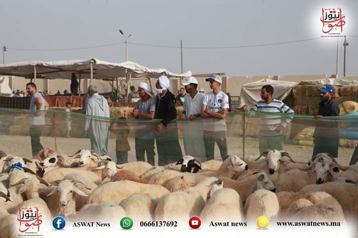 ها شنوا قالوا الكسابة على سوق الماشية الجديد بالعيون ،أو الغنم غالية ،أو الأمن داير خدمتوا