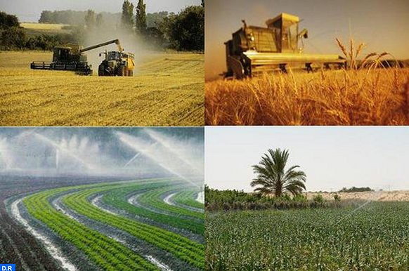 السياسة الفلاحية المغربية  عاجزة عن تخفيف التكاليف المعيشية للمواطن المغربي